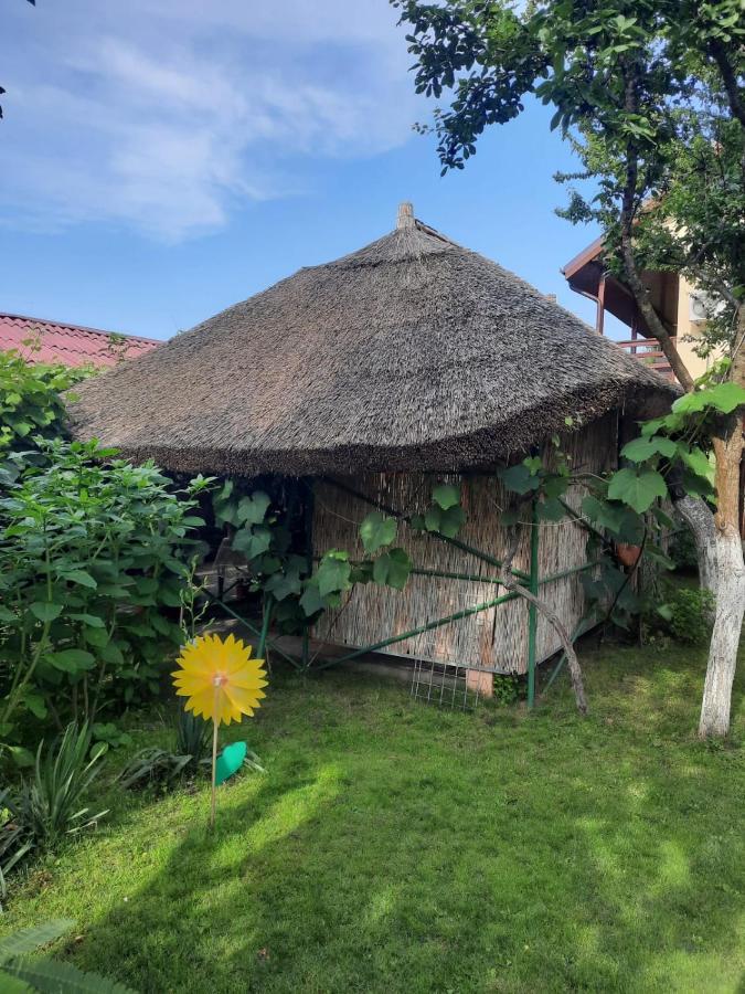 Casa Boby Hotel Murighiol Exterior photo