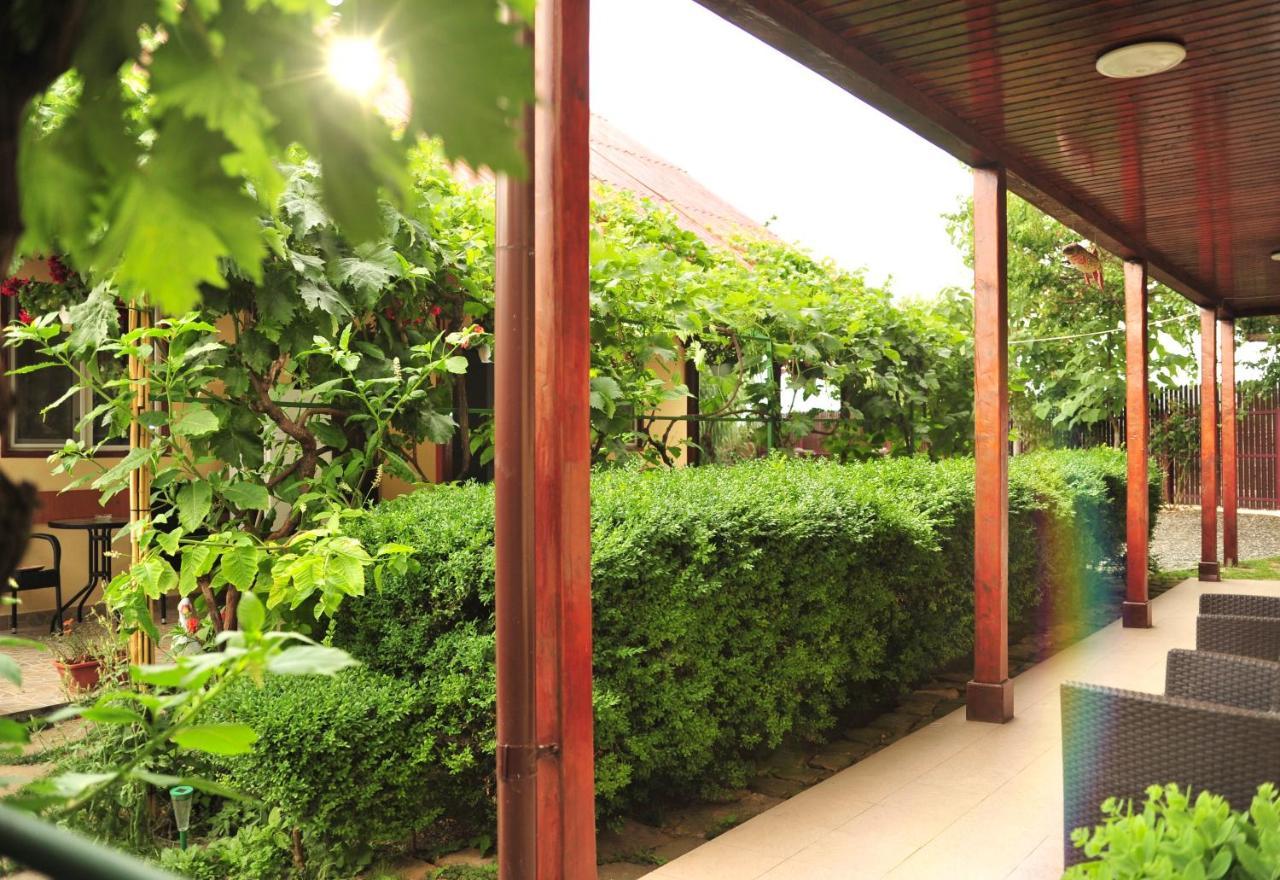 Casa Boby Hotel Murighiol Exterior photo